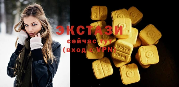 хмурый Ельня