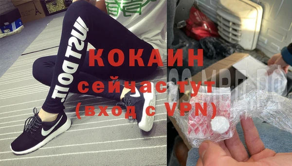 крисы Баксан
