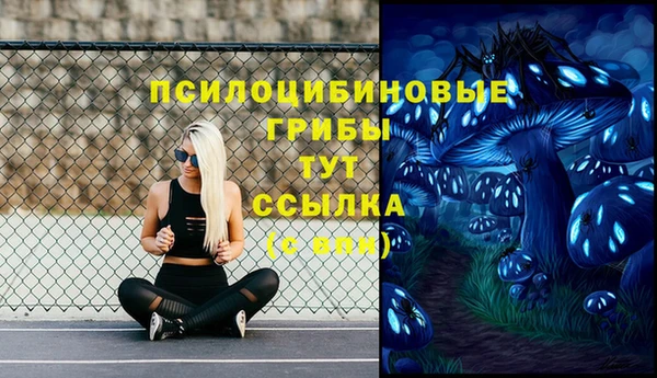 хмурый Вяземский